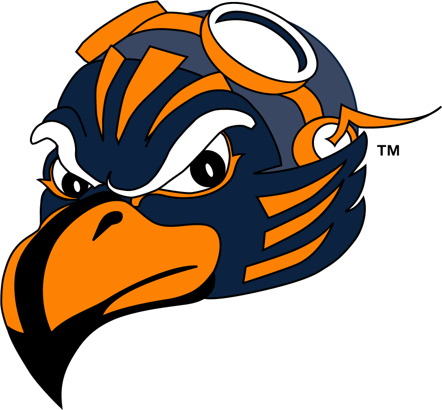 Tennessee-Martin Skyhawks 2007-2020 Mascot Logo t shirts iron on transfers